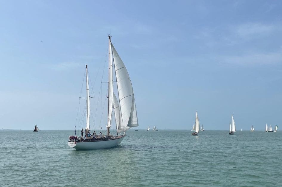 Voile MACSF